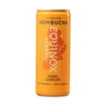 Equinox Kombucha Bio Gingembre Enflammé